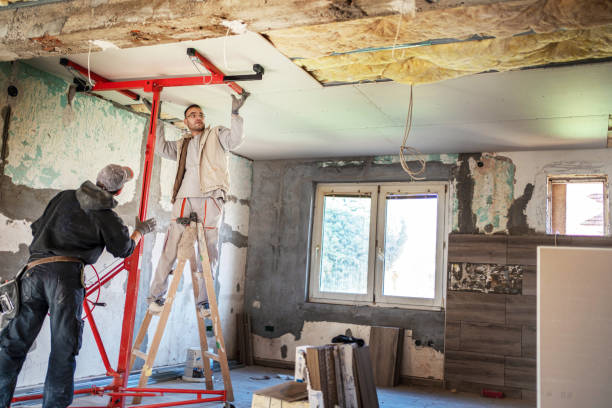 Best Local Insulation Services  in Tigerville, SC