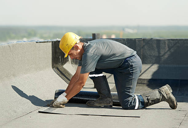 Best Local Insulation Services  in Tigerville, SC
