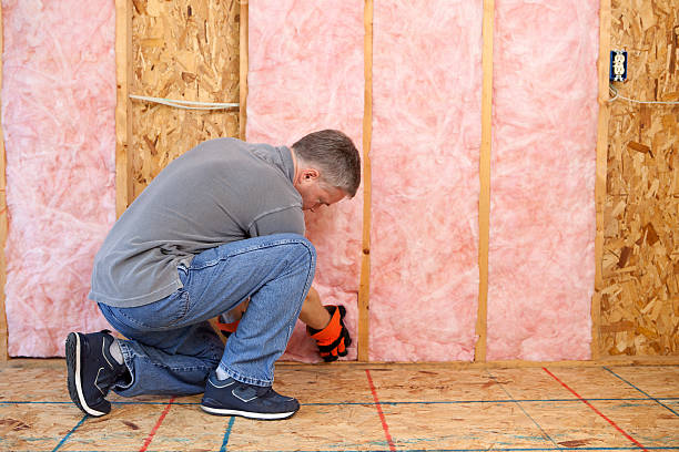 Best Wall Insulation Contractor  in Tigerville, SC