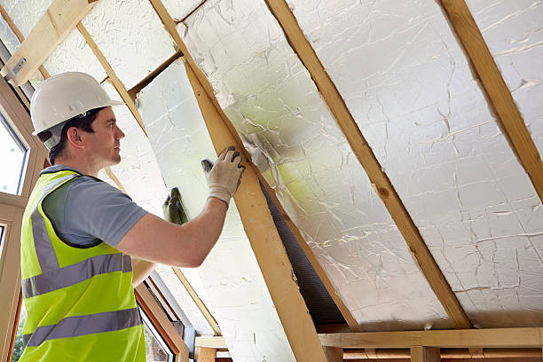 Insulation Inspection Services in Tigerville, SC
