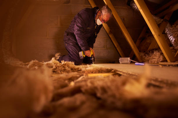 Best Professional Insulation Contractor  in Tigerville, SC
